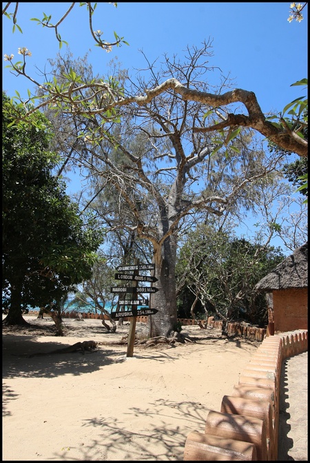 île de la prison, Zanzibar octobre 2023