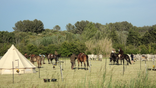 Centaure et Transhumance à Cabasse (Miramas)