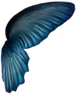 Tubes : Féeriques/ailes d'anges