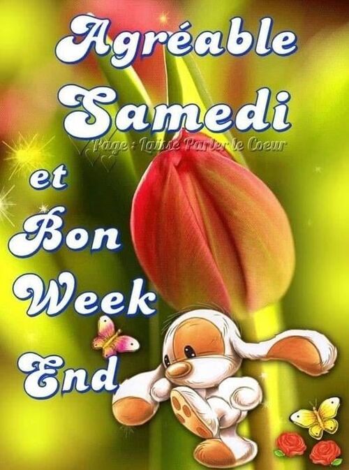 bonne fin de semaine mes amies et amis 