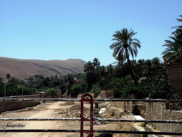 oued_oggi2.jpg