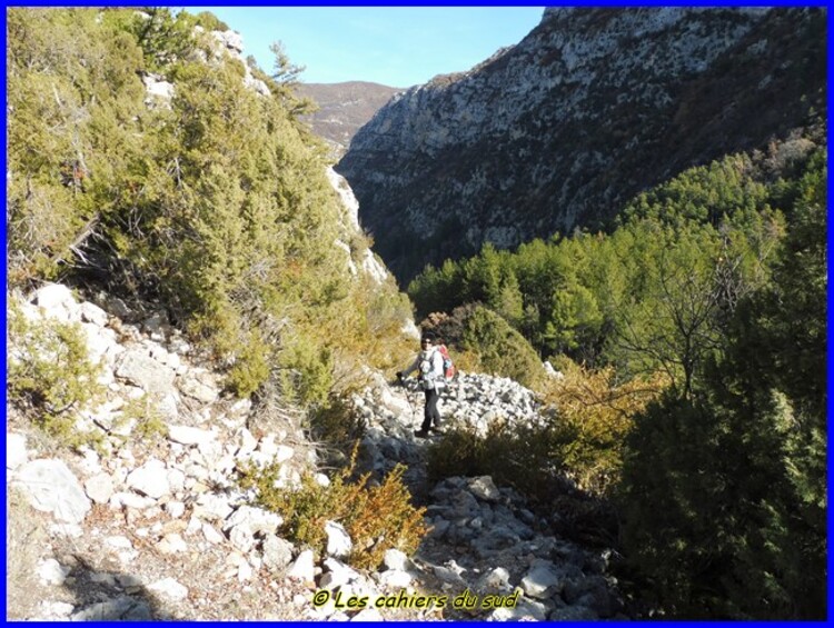 Les gorges de Trevans