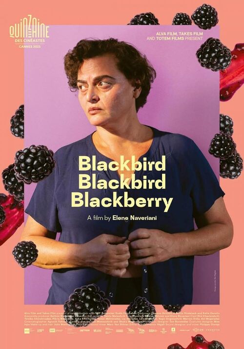 Blackbird Blackberry - Caucasien tardif