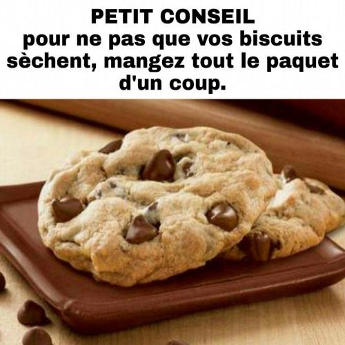 Les biscuits 