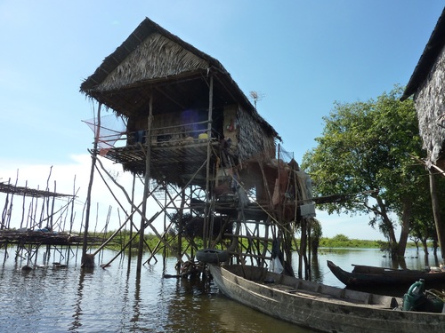 Balade en bateau dans la forêt inondée du Tonlé Sap (Cambodge)
