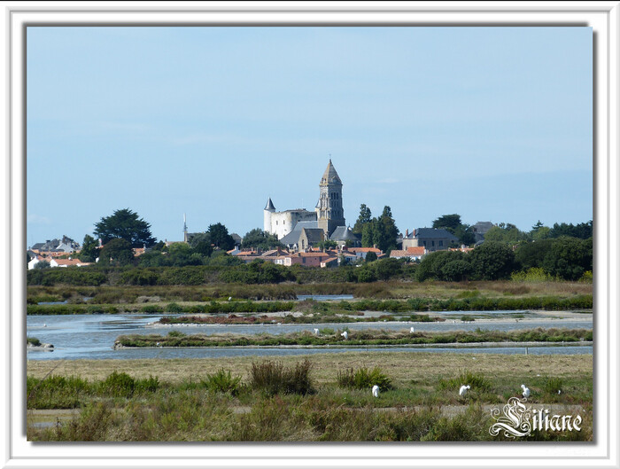 Quelques photos de l'Ile de Noirmoutier