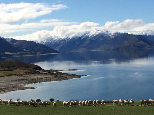 Entre lacs et montagnes ! NZ