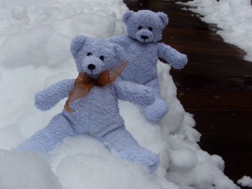 Les ours en éponge dans la neige...