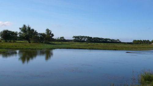 "En Baie de Somme" - Mardi 17 septembre 2024