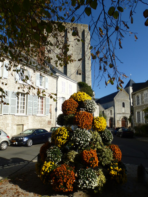 COULEURS D'AUTOMNE A BEAUGENCY