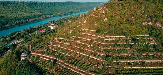 À la découverte du vignoble de Moldavie