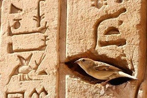hieroglyphes.jpg