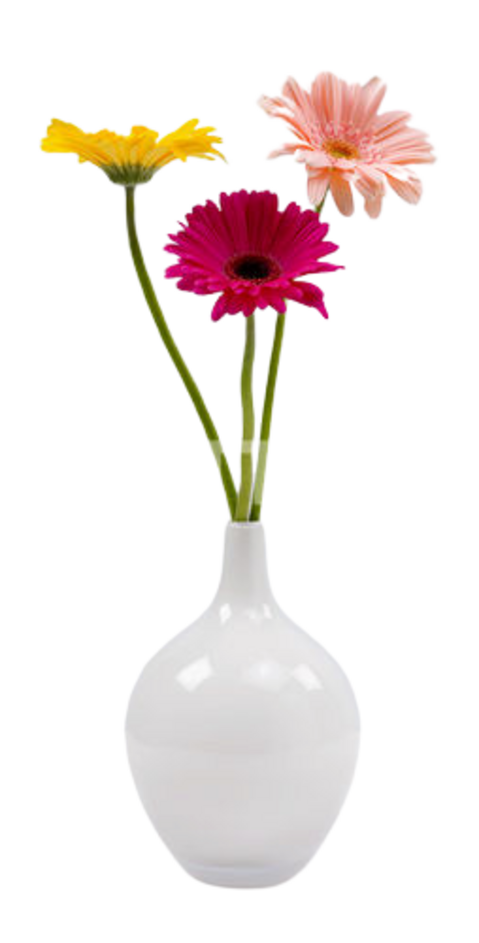 Fleurs dans Vases