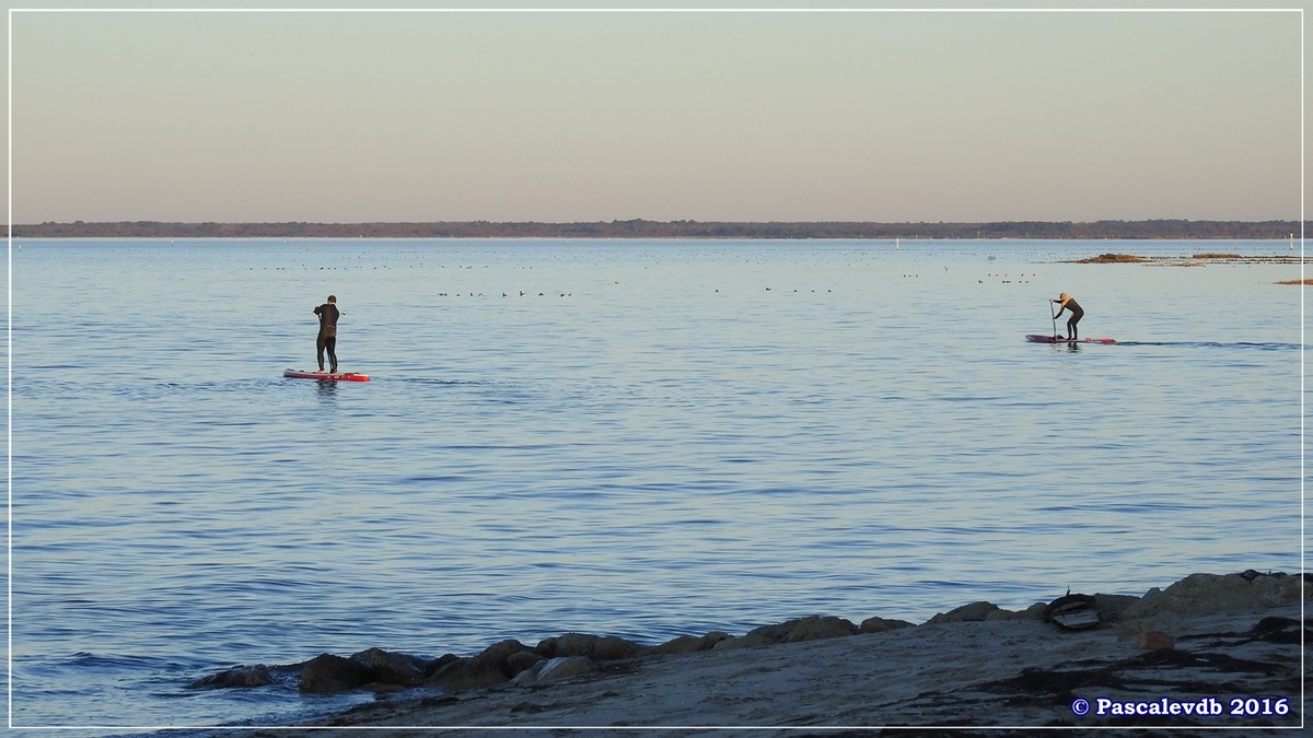 Port du Rocher - Novembre 2016 - 3/6