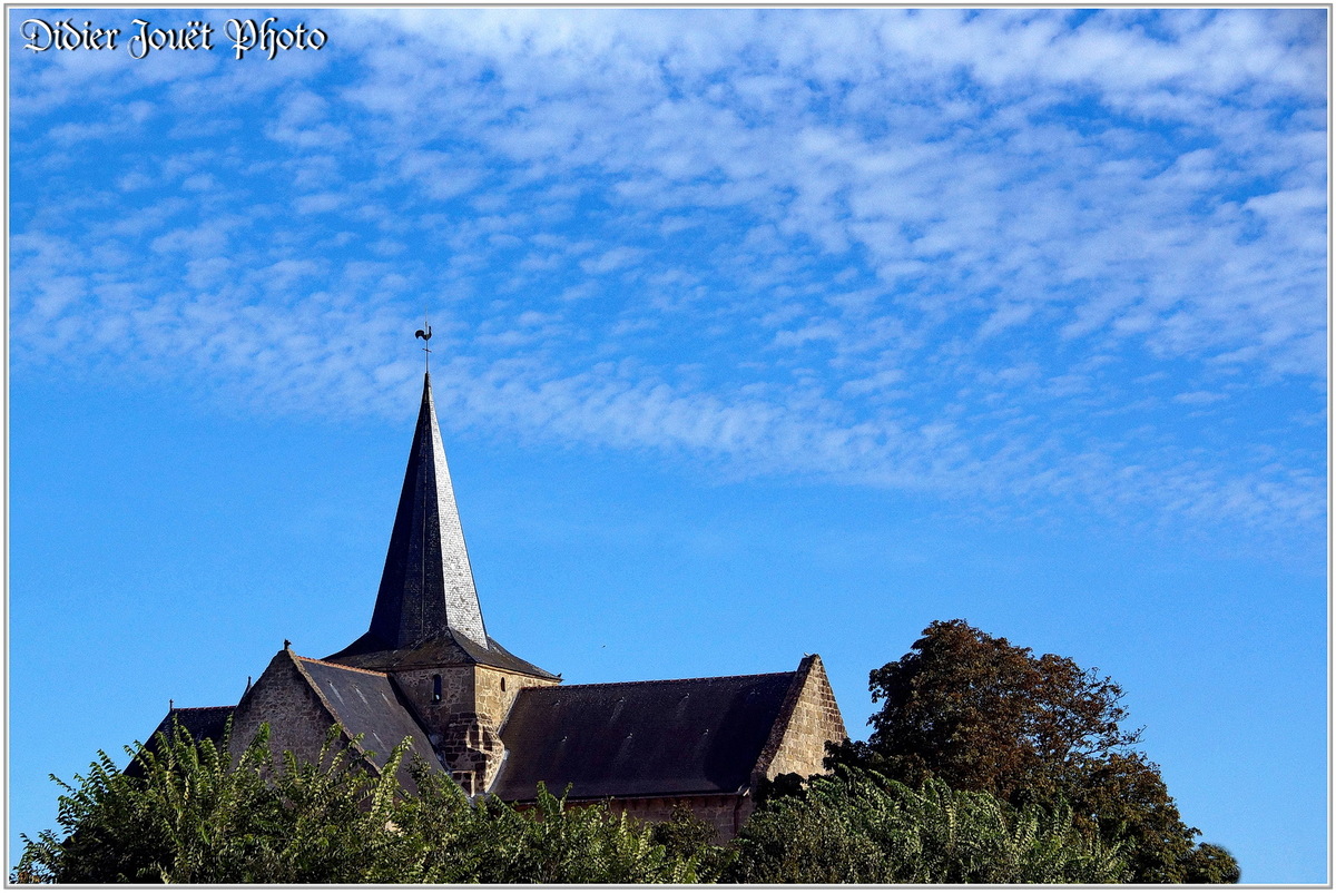 (85) Vendée - Sallertaine (1)