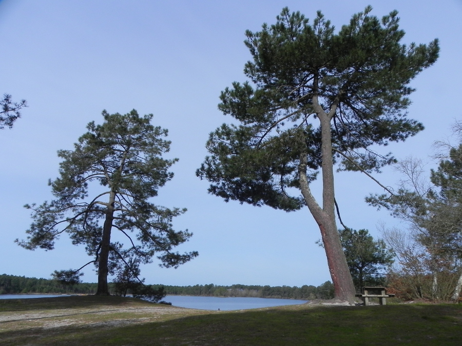 Le Lac d'Hostens en sud-Gironde 