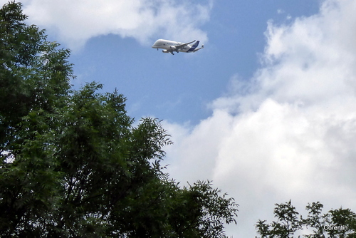 Des avions dans le ciel !