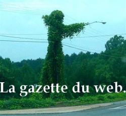 La gazette du web en vrac (12). Moitié de mousson ? EbZQhtdy2TW6VbZc25Uzs5Cofgg@250x230