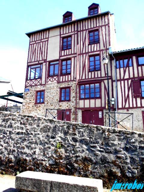 Balade printanière sur les bords de Vienne (2)