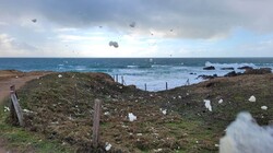 Rando à St Pierre Quiberon / Portivy le 29 12 2022 . C'est la dernière de 2022 !!! Nous étions 20 randonneurs pour effectuer 11,100km accompagnés par un fort vent !!!!