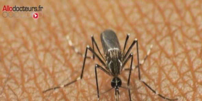 Zika : un nouveau mode de transmission ?