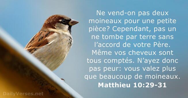 Matthieu 10 - DailyVerses.net