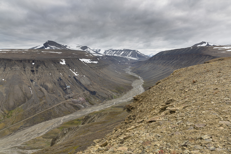 Les dangers de l'arctique... ou saloperie de goéland