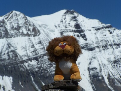 mascotte en montagne