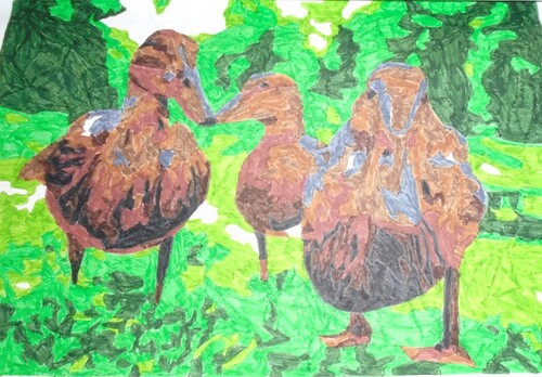 coloriage canards