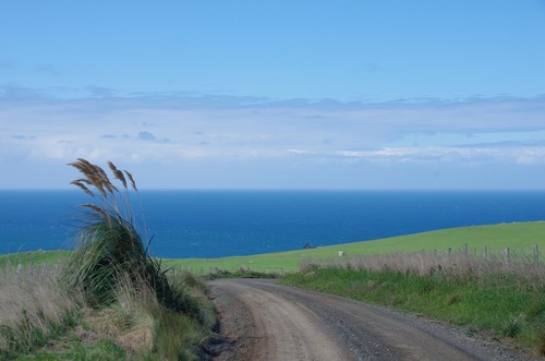 Jour 10 - Otago Peninsula