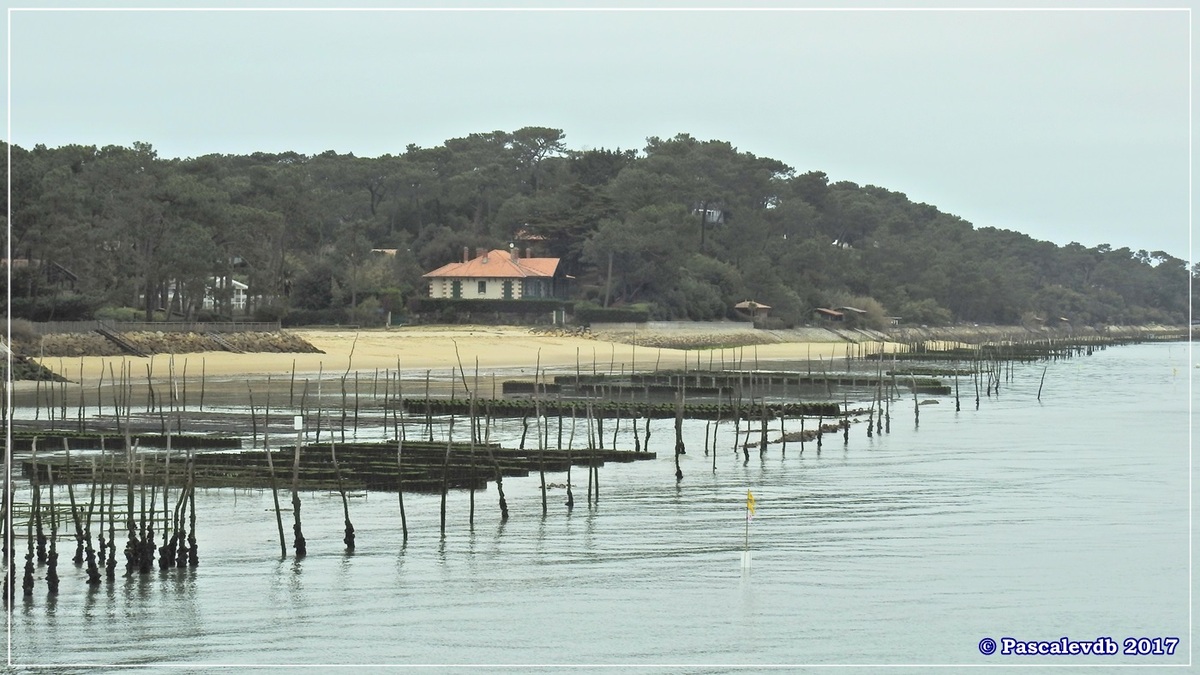 Traversée du Bassin entre Arcachon et le Cap Ferret - 4/14