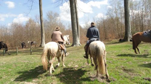 RANDO INTER ASSOCIATIONS Dimanche 12 avril 2015 - Les photos