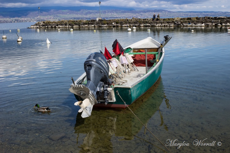 Pays de Savoie : Yvoire le lac Leman