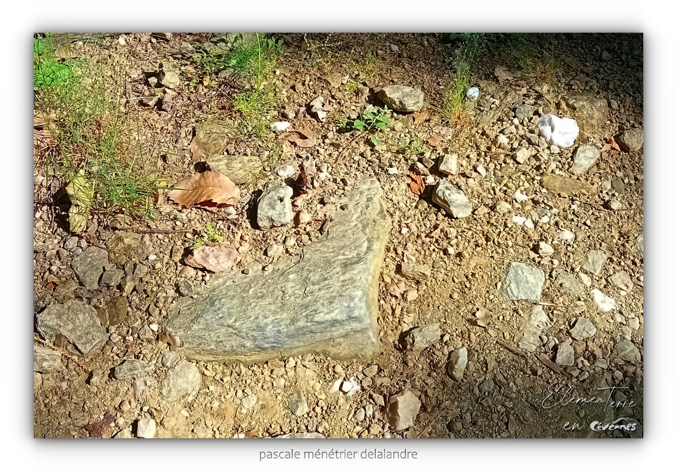 17/10/24 - Coeur de nature