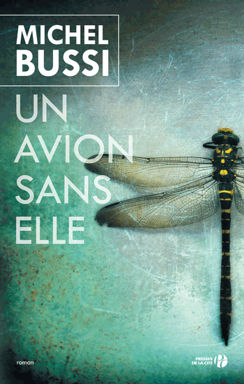 Un avion sans elle