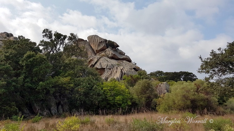 Corse : Plateau de Cauria 2/2