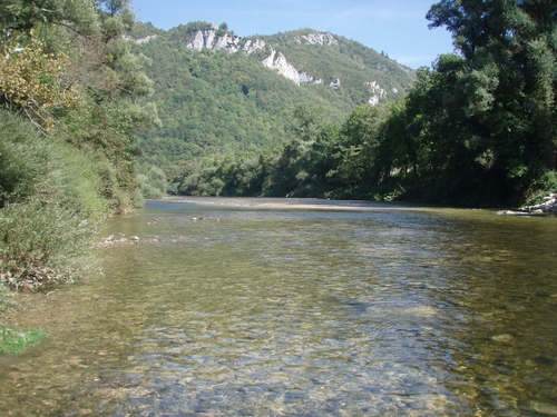 le Jura (4) : la Bienne (fin), la rivière, ses poissons, ses paysages autour de Saint-Claude