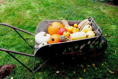 C'est bientôt l'automne!