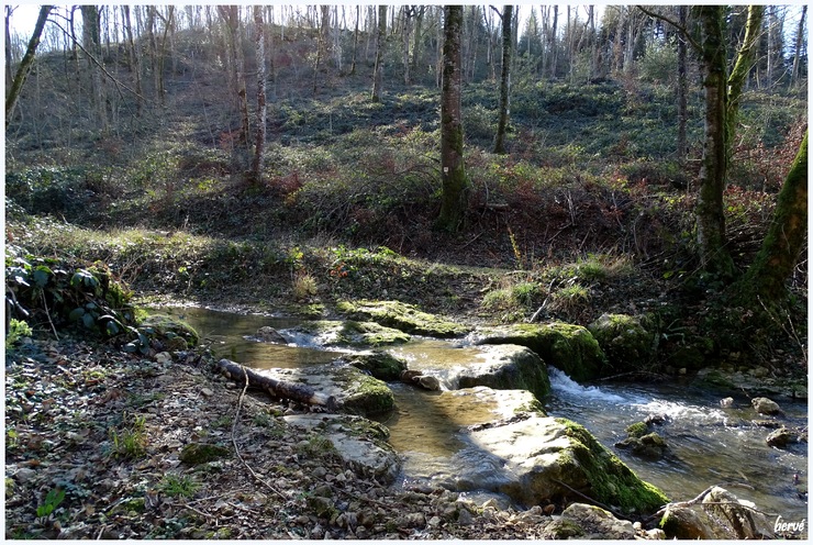 Le sentier du ruisseau 2/2