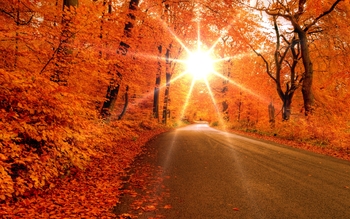 6965879-autumn-road