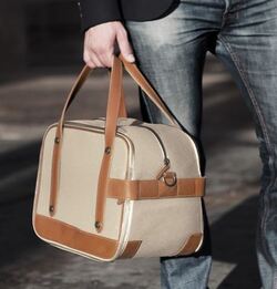 Sac chic et choc !