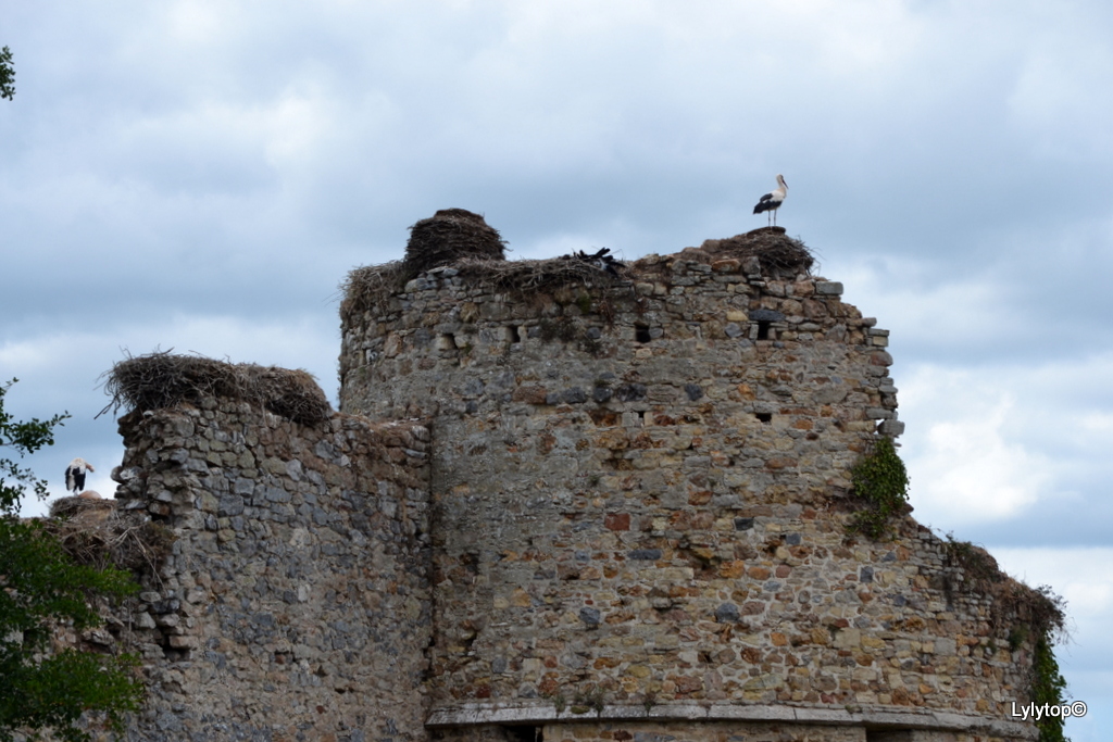 Le château des cigognes