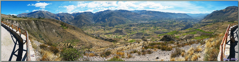 Panorama sur le Cañon de Colca et ses cultures en terrasses vus à partir du mirador Wayra Punku - Pinchollo - Pérou