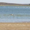 Lac de Merzouga