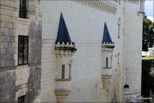 Photo de détails architecturaux du Château de Breze