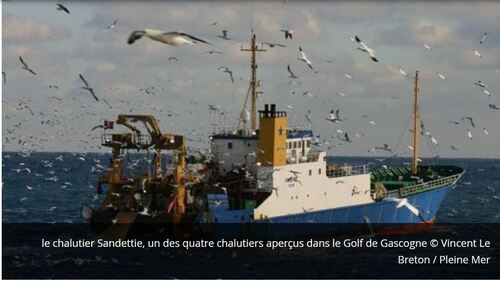 Pillage marin à l'heure du Covid-19 : la pêche industrielle non confinée