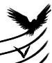 Ensvoc38