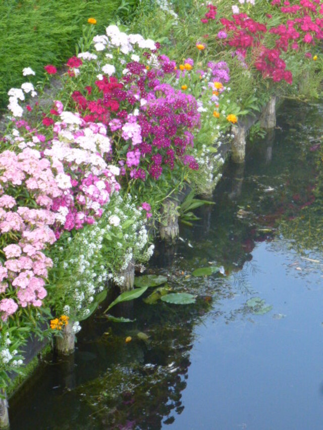   AMIENS    /     LES HORTILLONNAGES