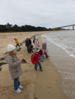 Devinettes classe de mer n°4