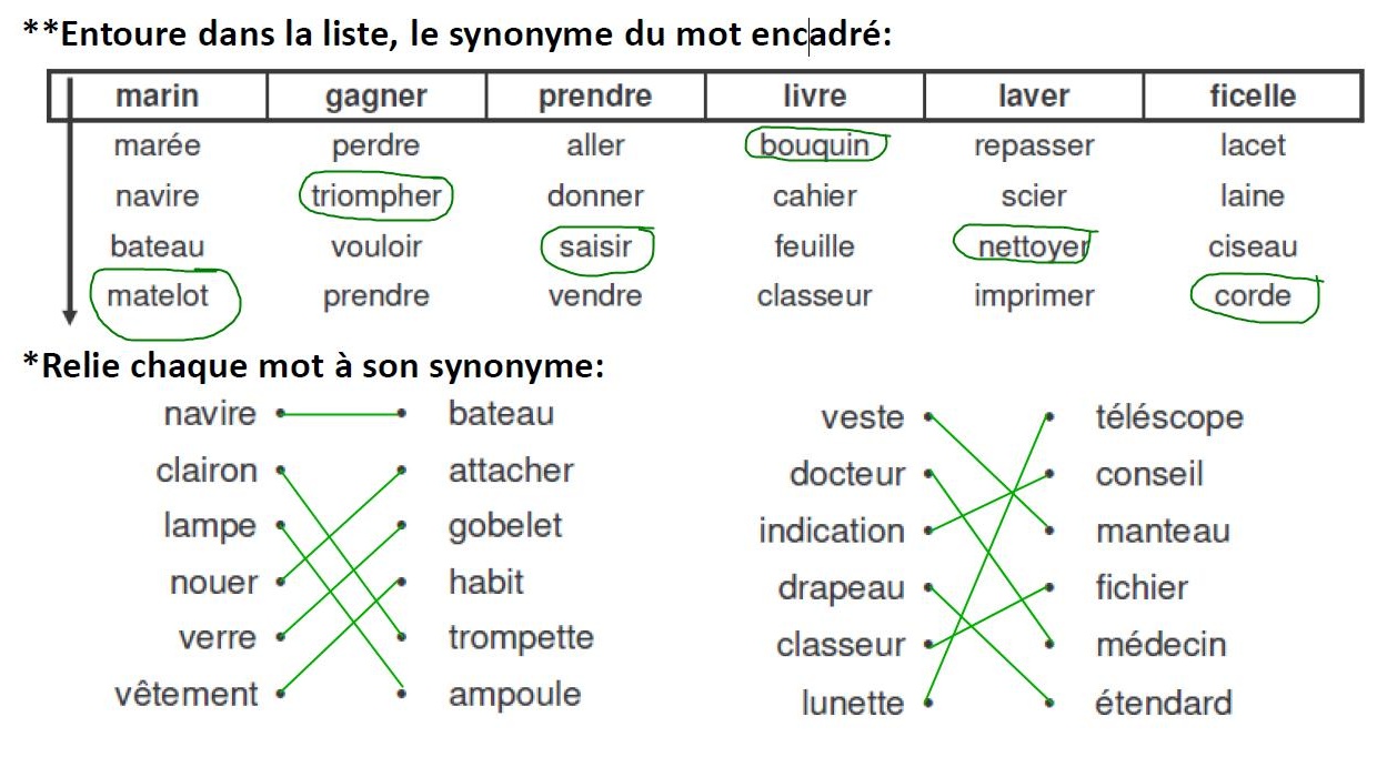 Vocabulaire: les synonymes - CE2 Bilingue LIF